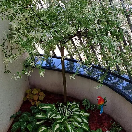 Appartement Lepi Jova Sneznik *